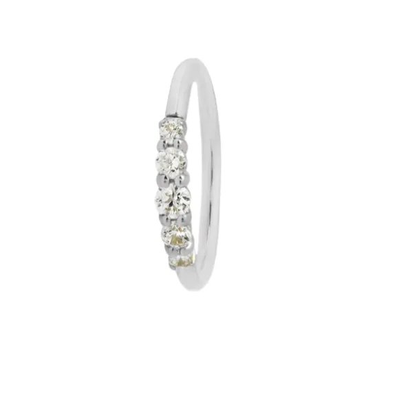 Brigitte Seamless Ring- 18g 5/16"