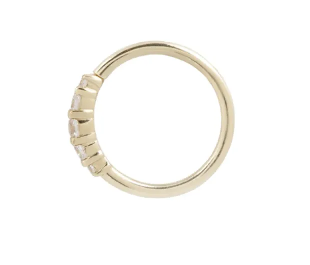 Brigitte Seamless Ring- 18g 5/16"