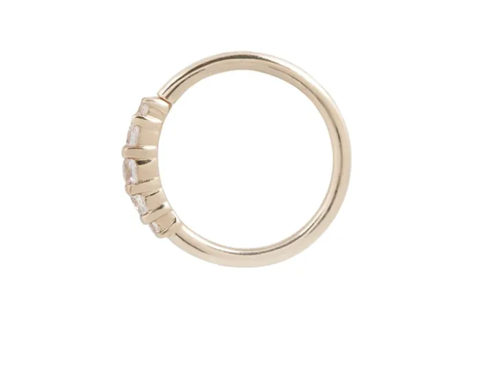 Brigitte Seamless Ring- 18g 5/16"