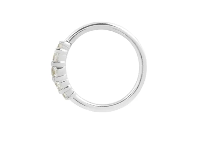 Brigitte Seamless Ring- 18g 5/16"